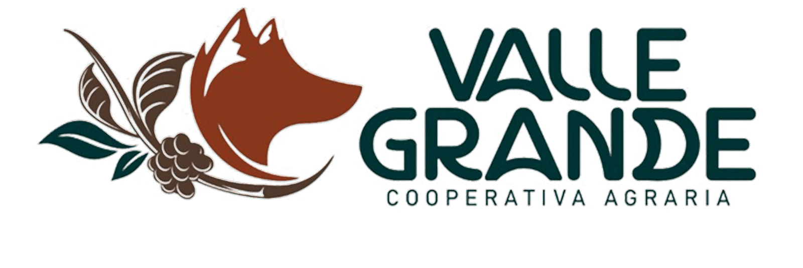 Historia logo full hd valle grande