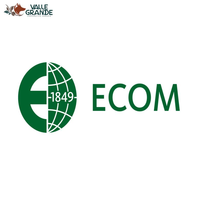 logo ecom