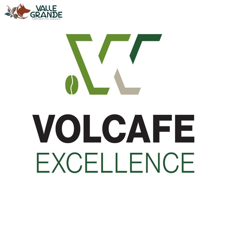 logo volcafe