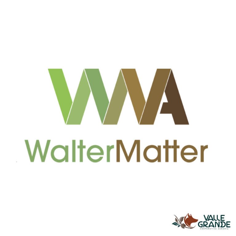 logo walter mater