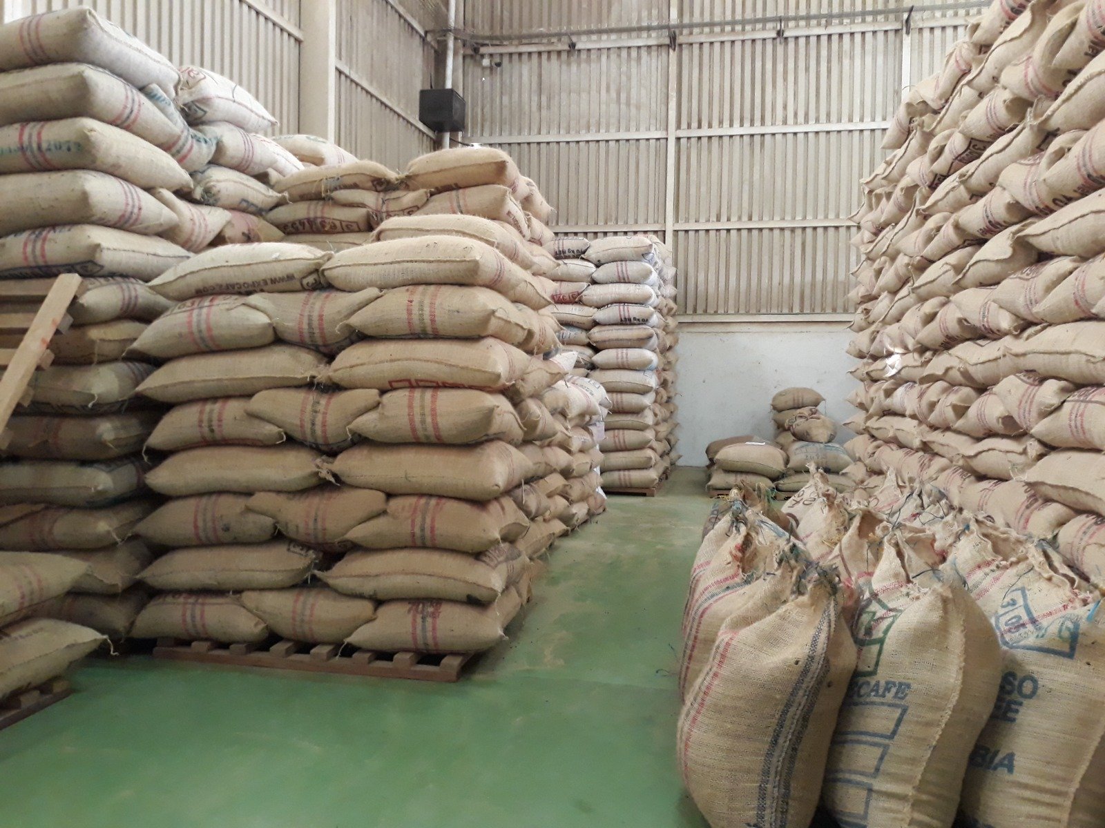 whatsapp image 2026 03 27 at 3.45.39 pm (1)