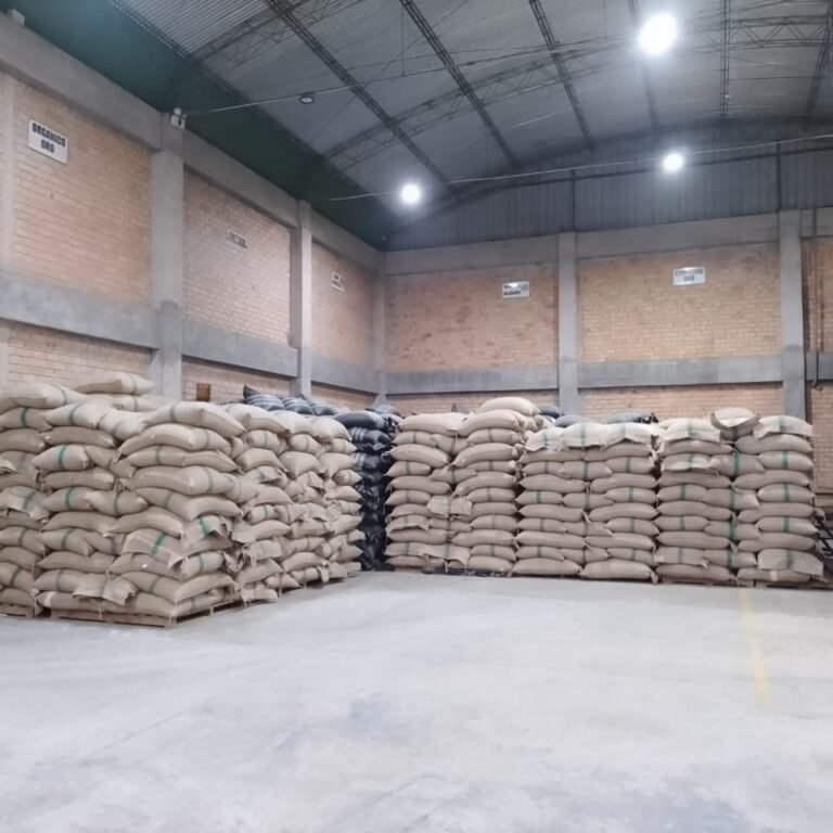 whatsapp image 2026 03 30 at 10.18.57 pm