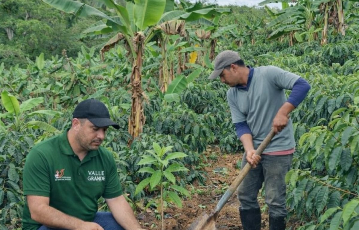 whatsapp image 2026 03 27 at 11.27.25 am